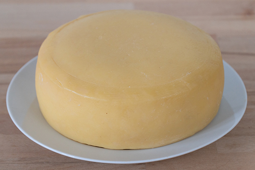 Runder, glatter Hartkäse mit gelber Rinde auf weißem Teller auf Holzuntergrund.