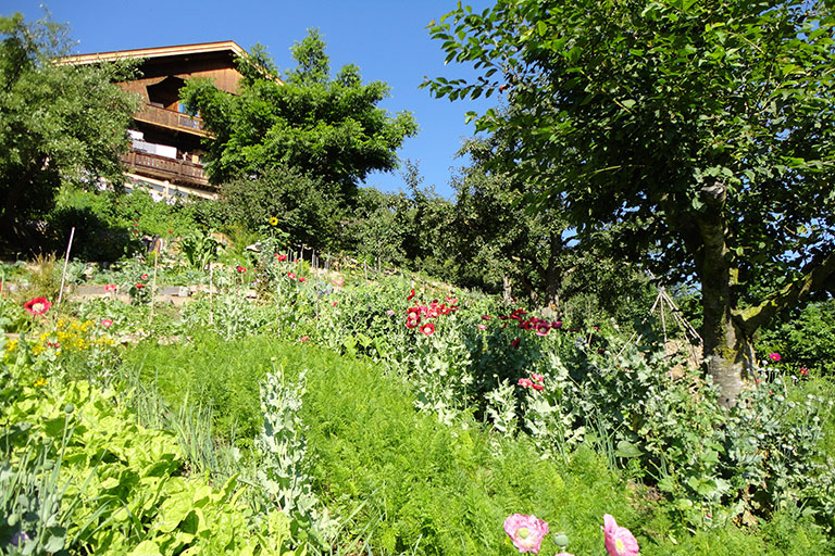Holzhaus mit Balkon auf einem Hügel, davor bunte Blumen und grüne Pflanzen, blauer Himmel im Hintergrund.