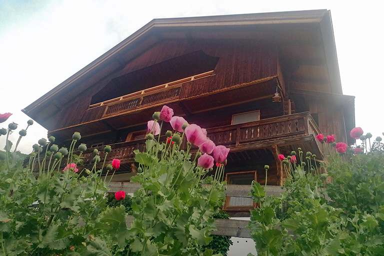 Holzhaus mit Balkon, davor mehrere Mohnblumen mit rosa und roten Blüten, Blick von unten nach oben.