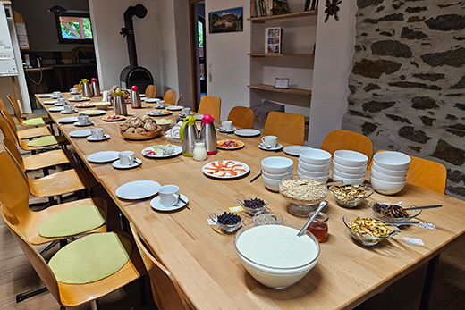 Langer Holztisch im Seminarraum mit gedeckten Tassen, Tellern, mehreren Schalen mit Müsli, Joghurt, Honig und Beeren, umgeben von Holzstühlen mit grünen Sitzkissen.
