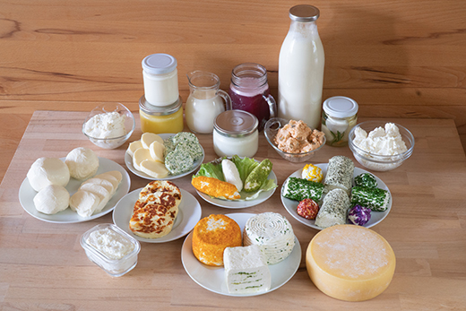 Verschiedene Milchprodukte auf Holztisch, darunter Käse in Scheiben und Kugeln, Joghurtgläser, Frischkäse und eine Milchflasche.