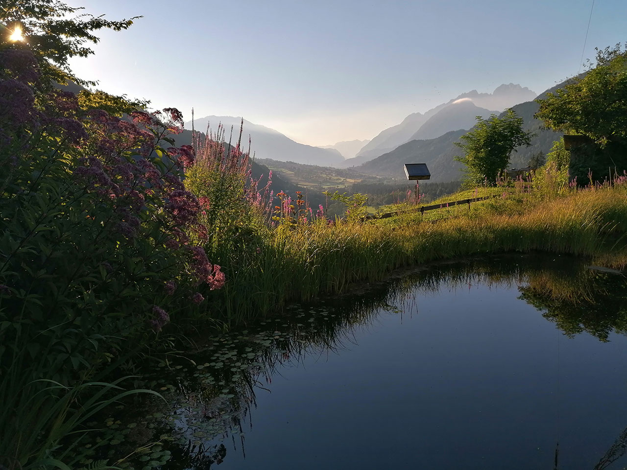 Blick auf ein Tal mit Bergen im Hintergrund, einem Teich im Vordergrund und Pflanzen am Ufer bei Sonnenaufgang.